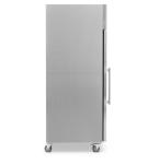 Blizzard BF2SSCR Double Glass Door GN Freezer  1300L